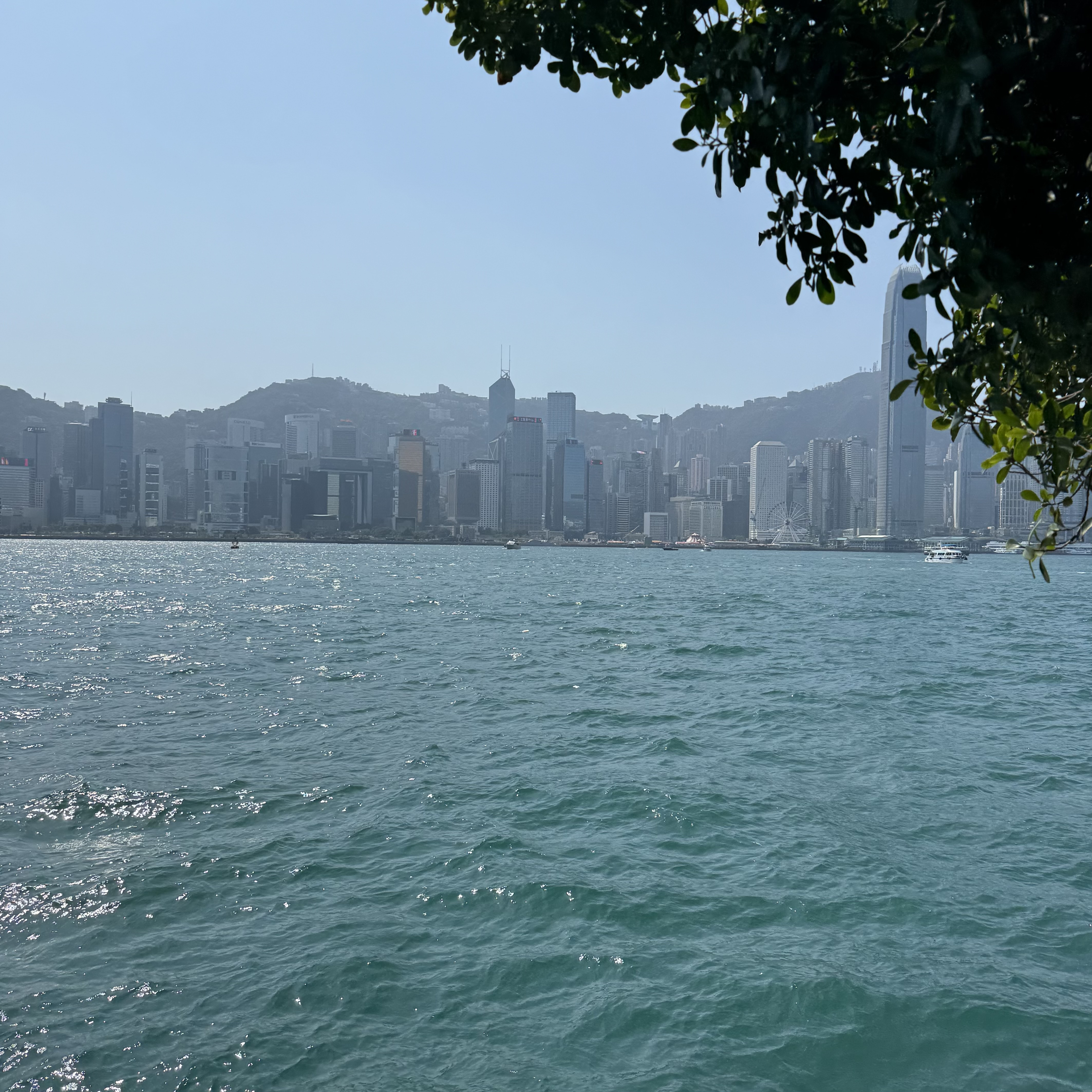 Skyscrapers on Hong Kong Island viewed from Tsim Sha Tsui in winter