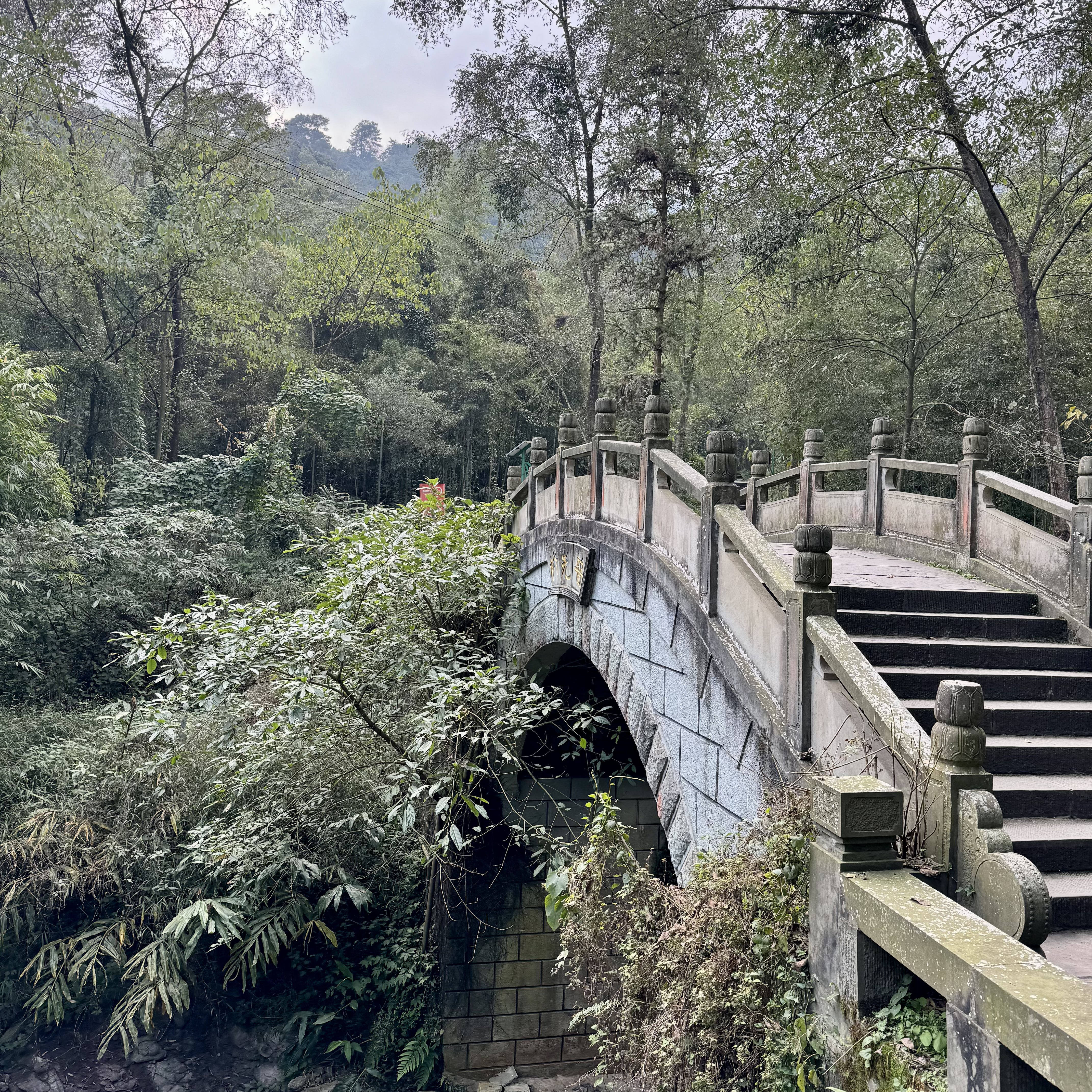 The verdant tranquility of Mount Emei's lower regions